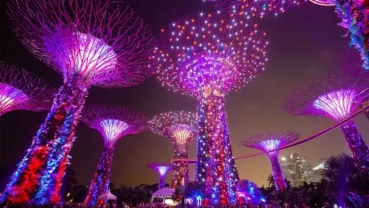 KHH新馬好好玩(桃園回送高鐵)～夜間動物園、超級樹燈光秀、最愛吉隆坡、娘惹文化體驗五日-5