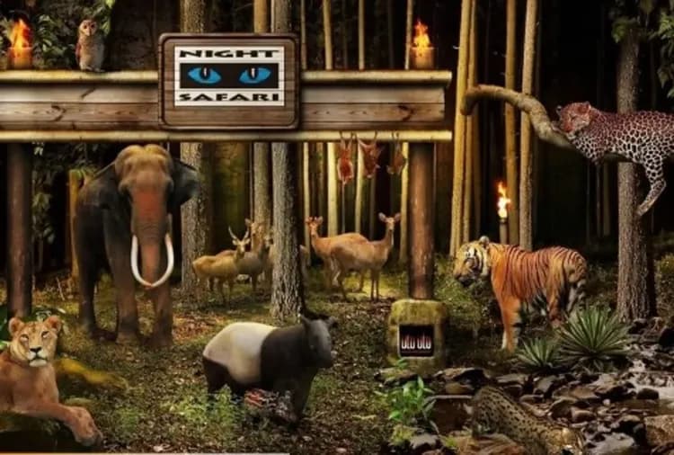 新加坡夜間動物園(含遊園車)