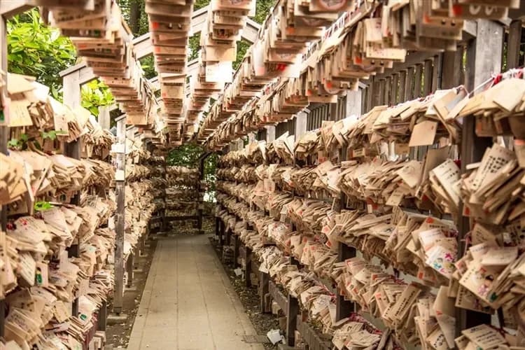 寒假折2,000｜東京五星夢幻迪士尼.和服體驗.晴空塔美景.輕井澤萬豪溫泉5日｜保住兩晚迪士尼友好飯店｜不進購物站-6