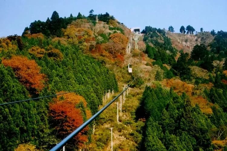 身延山楓紅巡禮