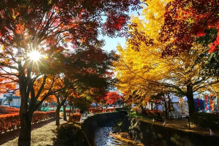 河口湖紅葉迴廊