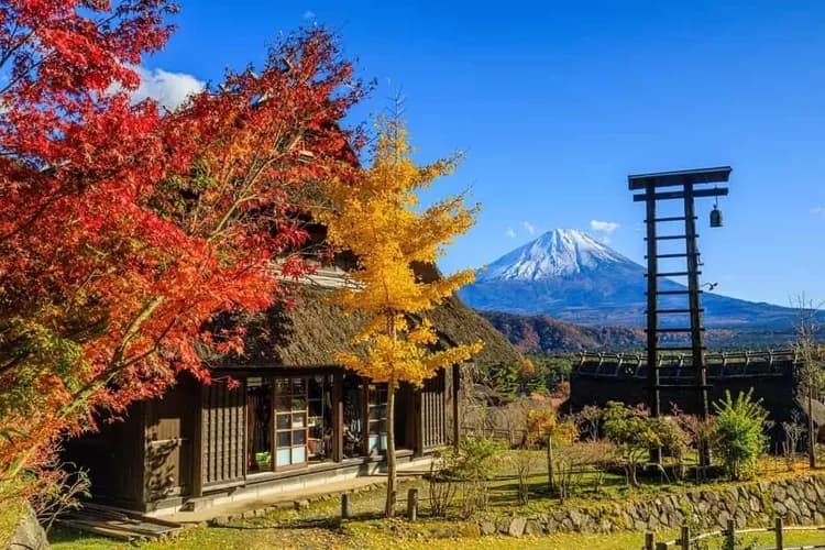 写真提供：西湖いやしの里根場-西湖合掌村