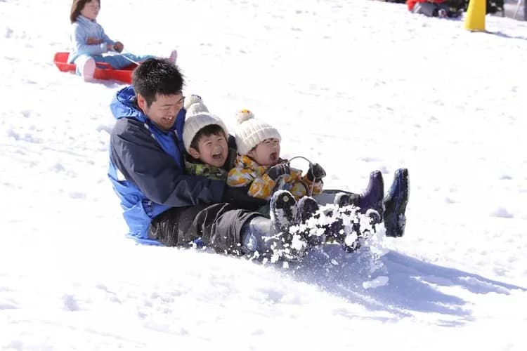 九重森林公園(雪盆體驗)