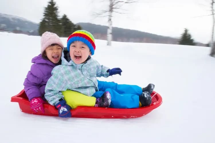 九重森林公園(雪盆體驗)