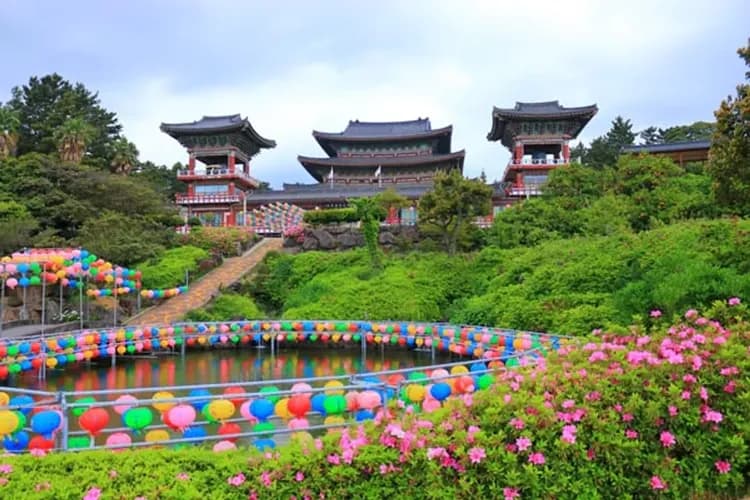 濟州喜迎春～神話世界樂園、汗蒸幕跆拳秀、長腳蟹吃到飽、全程五星飯店五日