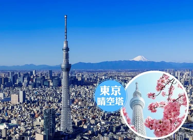 限時限量時尚東京5日.古都鎌倉.江之島電車.東京晴空塔.新宿展望台.黑毛和牛吃到飽.入住一晚連鎖國際飯店-7