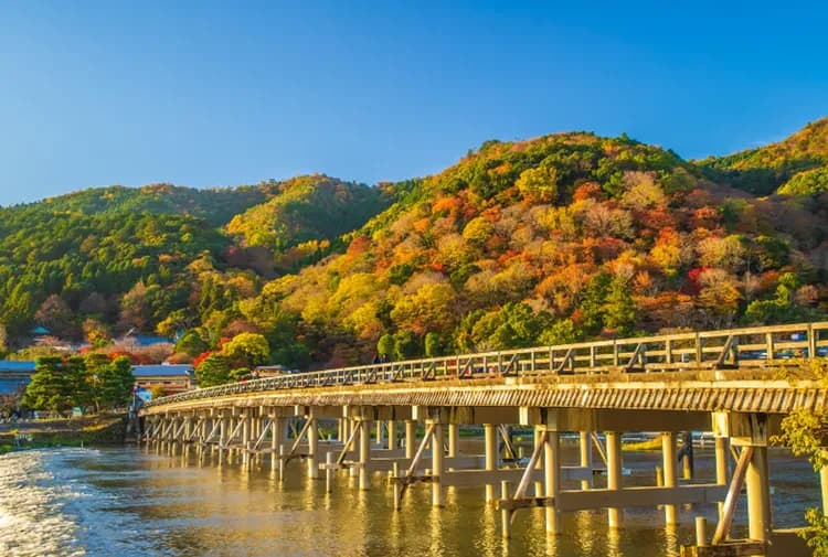 【勝尾寺一日遊】勝尾寺・平等院 鳳凰堂・嵐山｜中文導遊｜大阪出發-5
