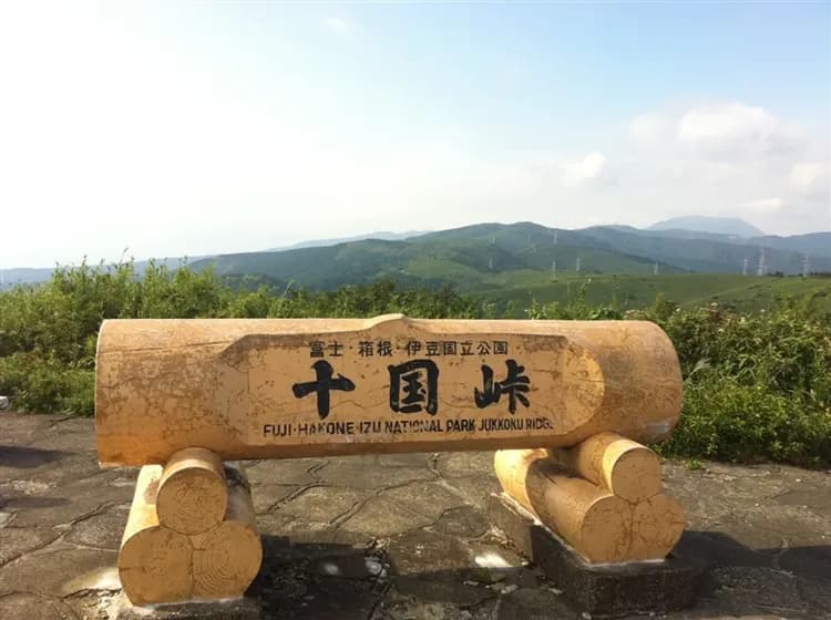 寒假折2,000｜東京五星迪士尼.富士急樂園.冬季採果戲雪.敘敘苑燒肉美饌溫泉五日｜保住2晚迪士尼友好園區酒店-5