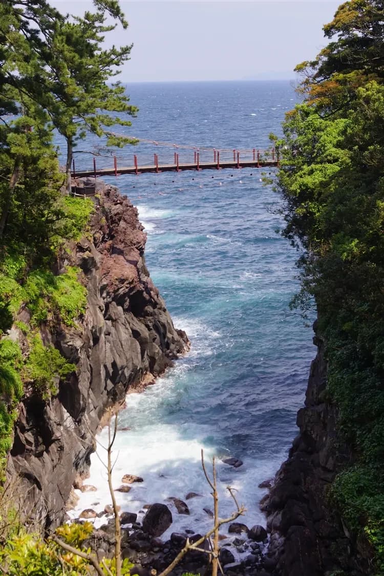 過年折3,000|賀歲五星東京|箱根富士屋x台場希爾頓.伊豆舞子號x伊豆纜車.箱根遊船.關東河津櫻美食雙湯五日-5