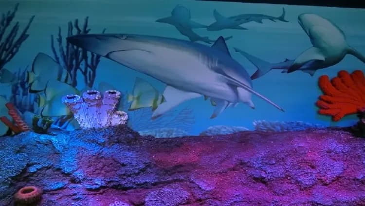 樂高SEA LIFE 海洋探索中心