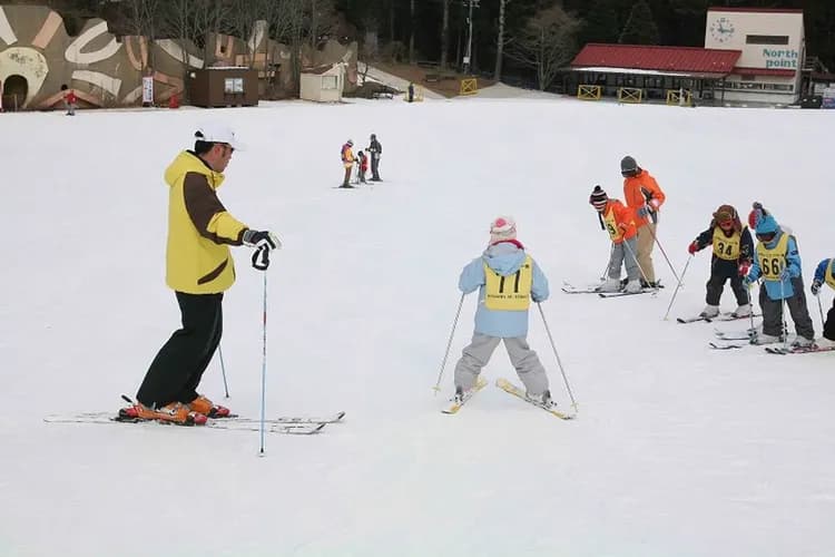 寒假迎春折$2000｜瑪莉歐環球影城.六甲山戲雪.京都平等院庭園.天保山海遊館.摩天輪五日｜台中出發