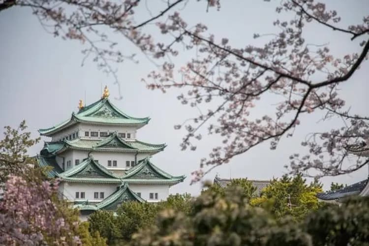 花現北陸～名古屋城賞櫻、合掌村兼六園、鬱金香四季館、富山希爾頓逸林五日