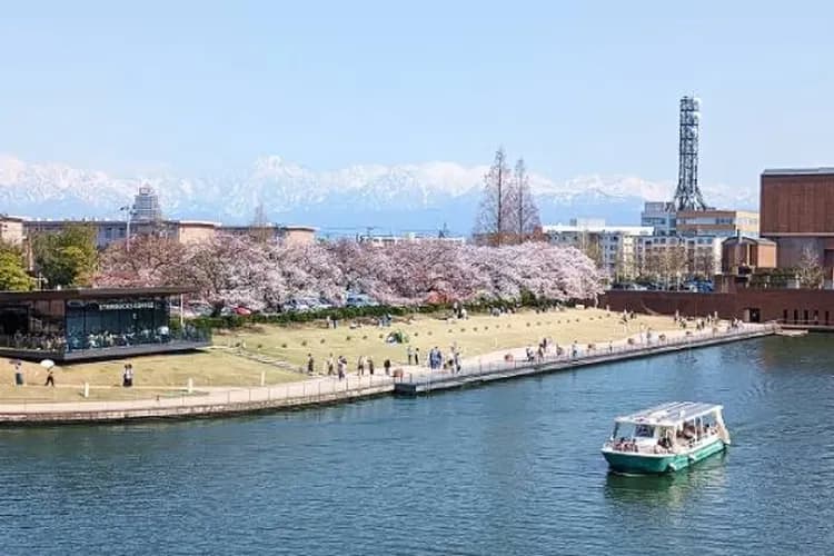 花現北陸～櫻百選霞間溪、合掌村兼六園、長島名花之里、天命反轉溫泉香五日
