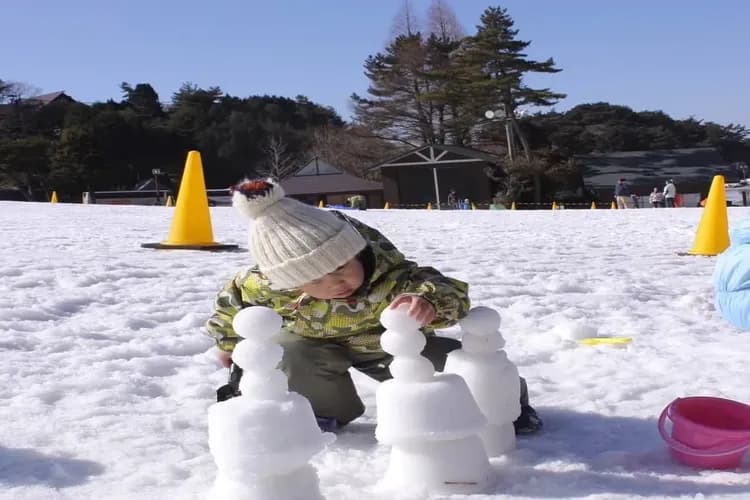 九重森林公園滑雪場(雪盆體驗)