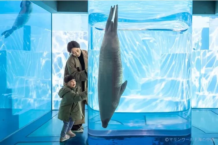 写真提供：マリンワールド海の中道/禁止轉載-海之中道海洋公園