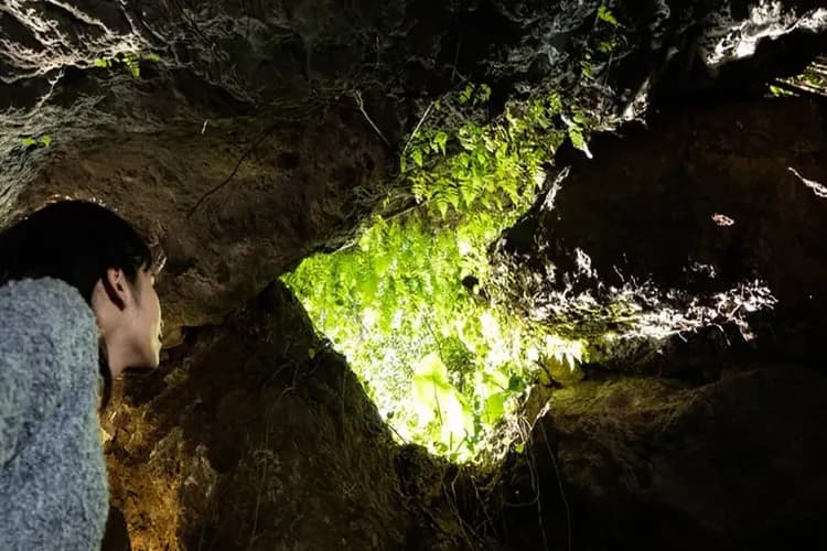 照片來源：CAVE OKINAWA官網-CAVE OKINAWA