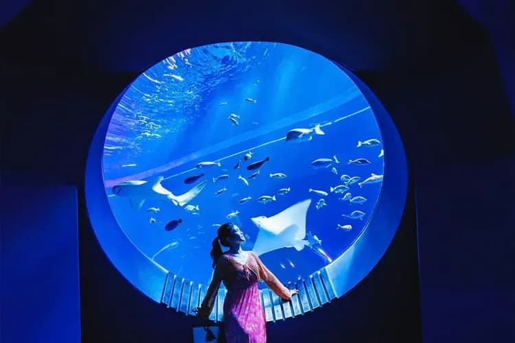 TXG沖繩喜迎春～古宇利海洋塔、神秘鐘乳石、星野海景咖啡、殘波岬美爵飯店四日-6