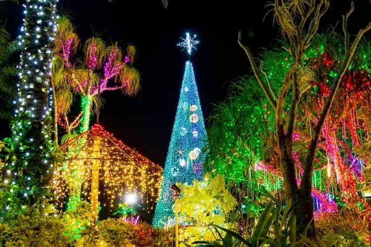 照片來源：東南植物樂園-東南植物樂園(夜間彩燈)