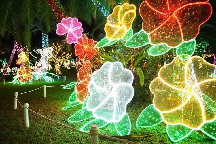 照片來源：東南植物樂園-東南植物樂園(夜間彩燈)