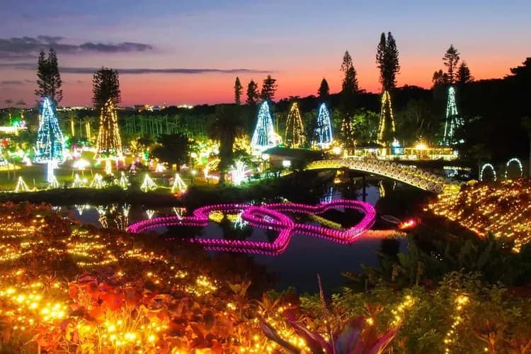 照片來源：東南植物樂園-東南植物樂園(夜間彩燈)