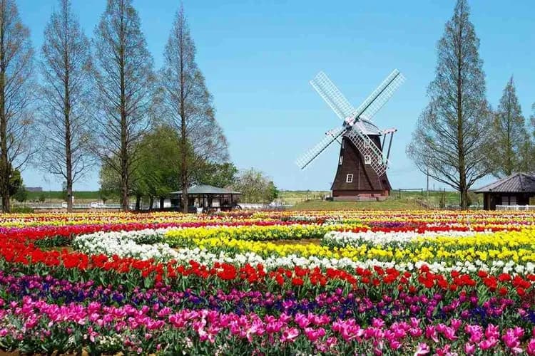 庫肯霍夫鬱金香花園：2026年3月19日至5月10日