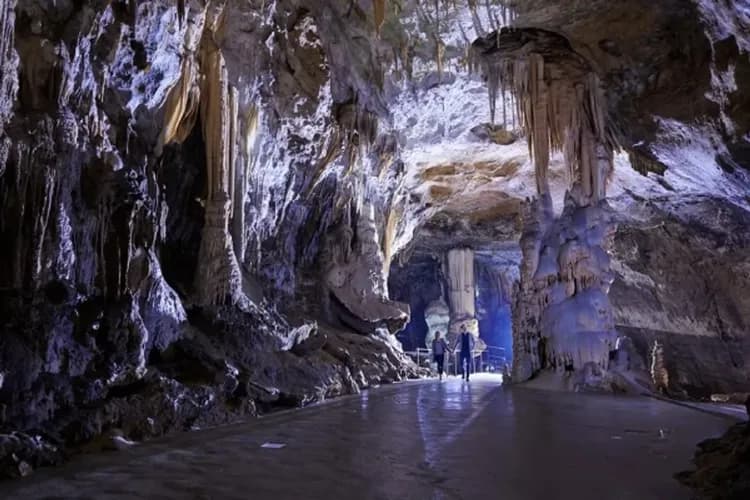 波斯托伊那鐘乳石洞(含電動車+門票)