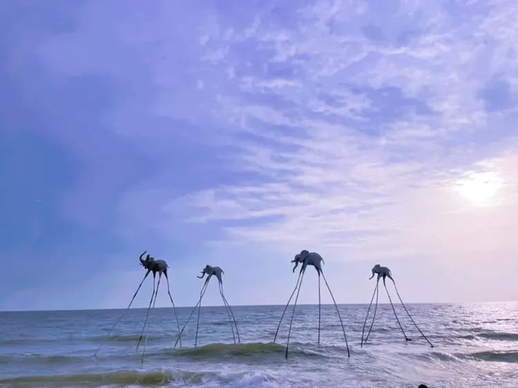 異形沙灘(特別贈送每人飲料乙杯)