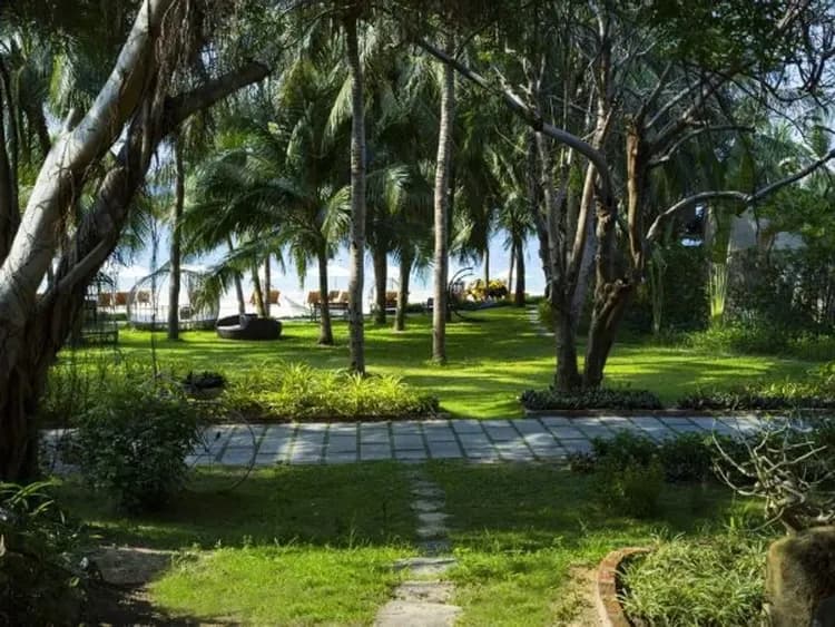 蠶島快艇出海：泥浴體驗+礦泉浴+水療按摩+沙灘游泳