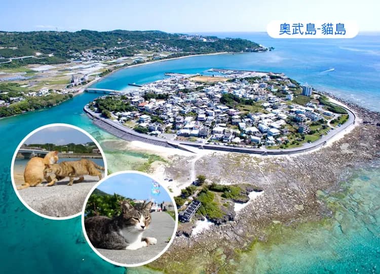 沖繩度假天堂5日.升等2晚A級市區飯店.世界最美之海水族館.鳳梨車.貓島奧武島.糸満海鮮.蒸氣海鮮.加贈單軌電車一日卷-7