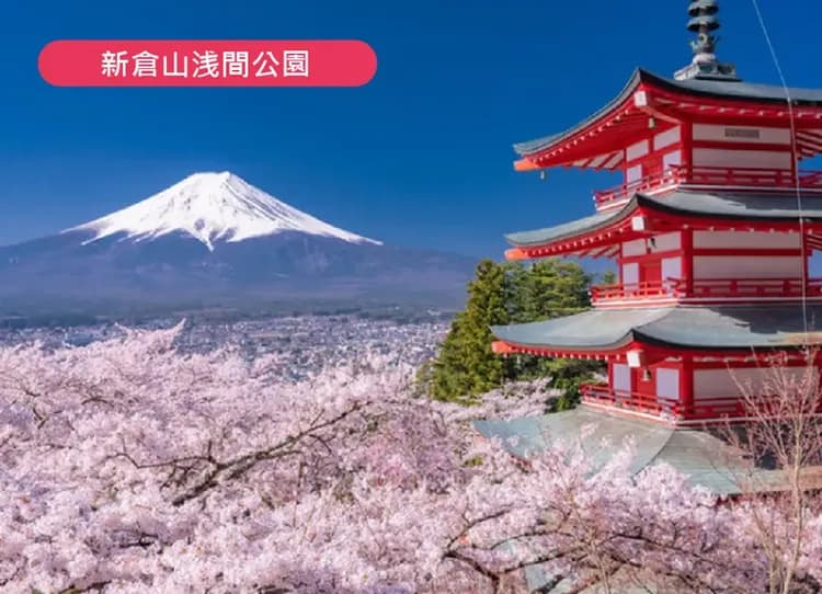 花現櫻限定東京富士山5日.採草莓.御殿場OUTLET.櫻花大道.淺間神社.蘆之湖遊船.螃蟹吃到飽(中華）-5