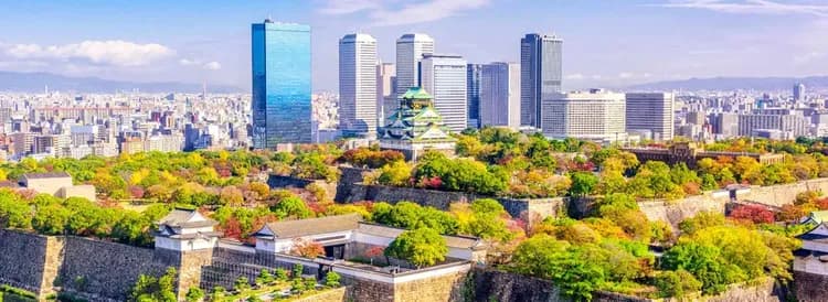 快閃關西小旅行|達摩勝尾寺.清水寺.伏見稻荷大社.京都廚房錦市場.心齋橋.長腳蟹.章魚燒體驗三日-5