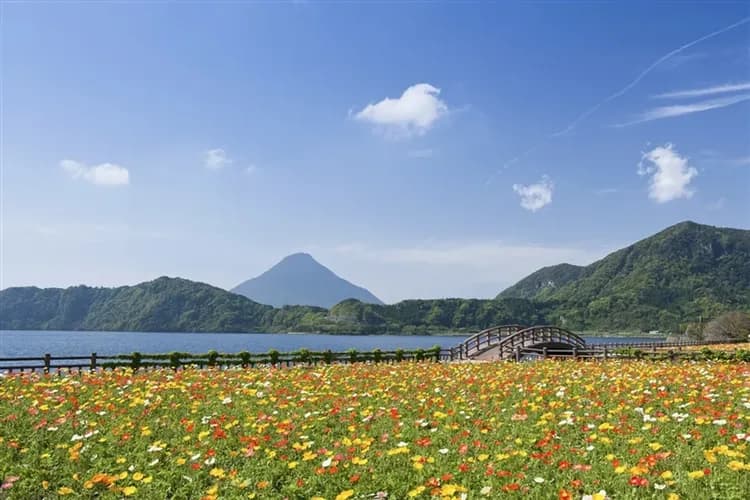 賀歲折3,000|南九州指宿砂浴.雙鐵玉手箱新幹線.櫻島渡輪.五星喜來登.溫泉美食五日|四晚溫泉-5