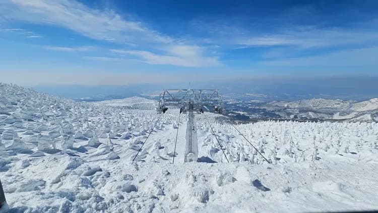寒假預購折2,000|東北百選溫泉.仙台威斯汀.藏王樹冰纜車.戲雪.銀山溫泉街.合掌村.松島遊船.和牛螃蟹.酒香採果五日-9