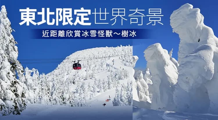 寒假預購折2,000|東北百選溫泉.仙台威斯汀.藏王樹冰纜車.戲雪.銀山溫泉街.合掌村.松島遊船.和牛螃蟹.酒香採果五日-8