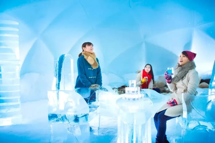 星野渡假村(兩晚)