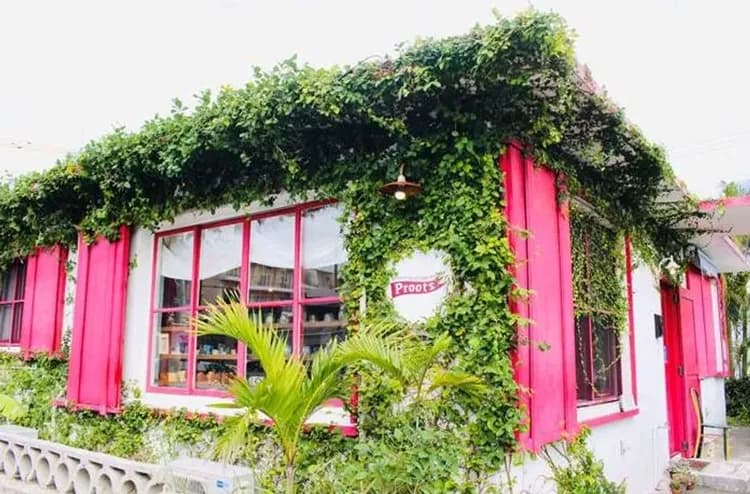 KHH沖繩櫻花語～今歸仁櫻花祭、美麗海水族館、玉泉洞王國村、雙跳島風情遊四日-10