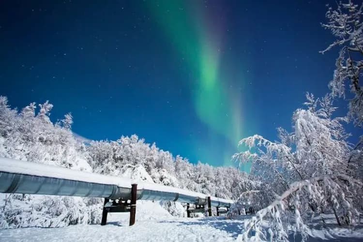 阿加斯加極光-費爾班克斯(三晚追逐極光)