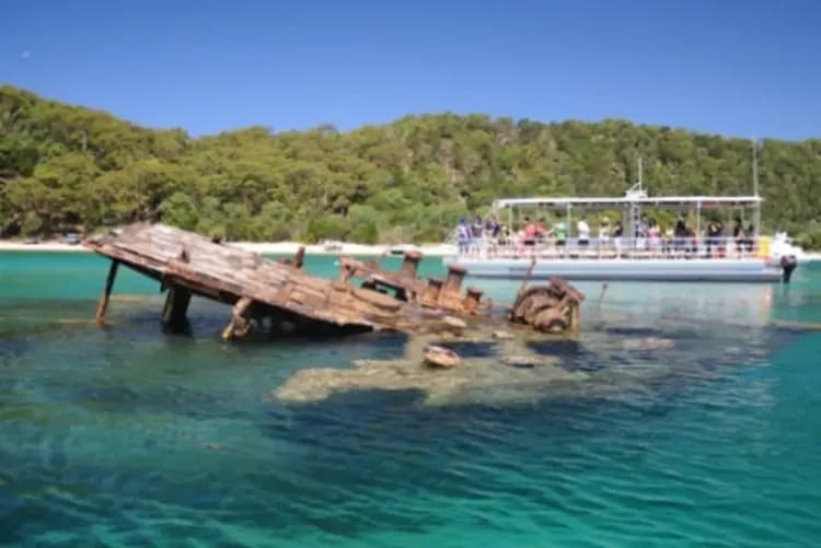 【賀歲黃金海岸、預購減3000】莫瑞頓海豚島、室內跳傘體驗、庫倫賓動物園、高空觀景台七日-5