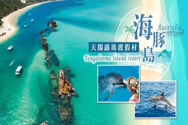 海豚島豐富遊(四輪傳動車、驚奇滑沙、餵海豚、餵魚觀光船)