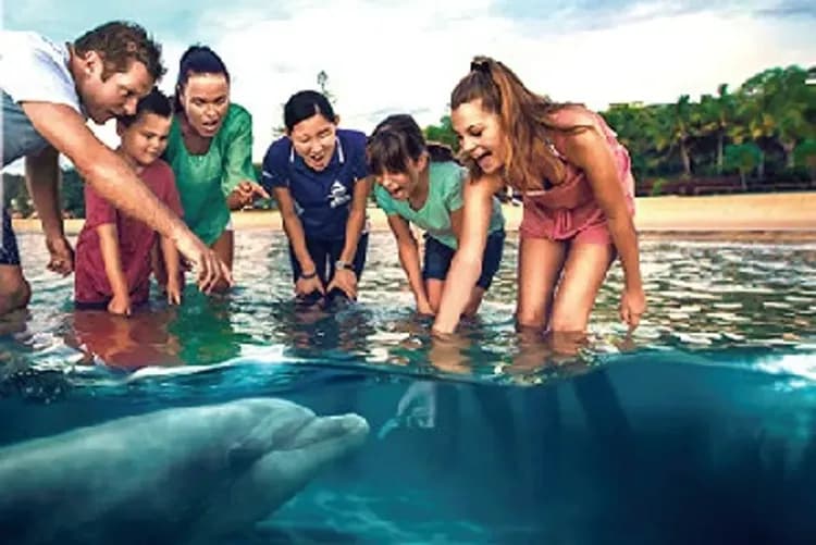 東澳FUN寒假～黃金雙樂園、兩晚海豚島、海洋世界郵輪、天堂鄉農莊遊九日-7