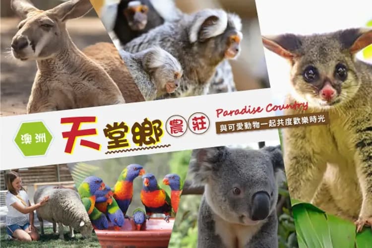 天堂鄉農莊(贈送無尾熊拍照)
