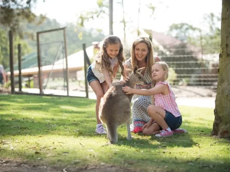 天堂鄉農莊(贈送無尾熊拍照)
