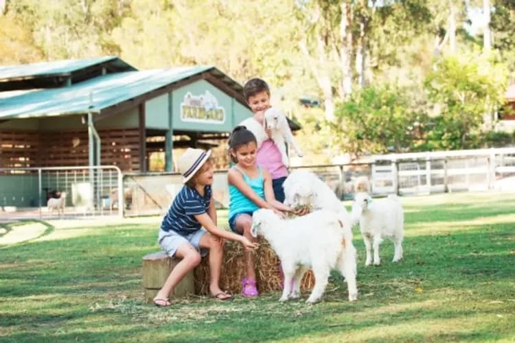 東澳享五星～最愛黃金海岸、海洋世界遊船、天堂鄉農莊遊、乙晚五星飯店七日-10