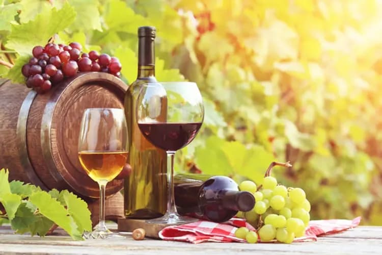 東澳雙城喜迎春～藍山國家公園、雪梨塔歌劇院、熱氣球升空體驗、海洋世界天堂鄉九日-9