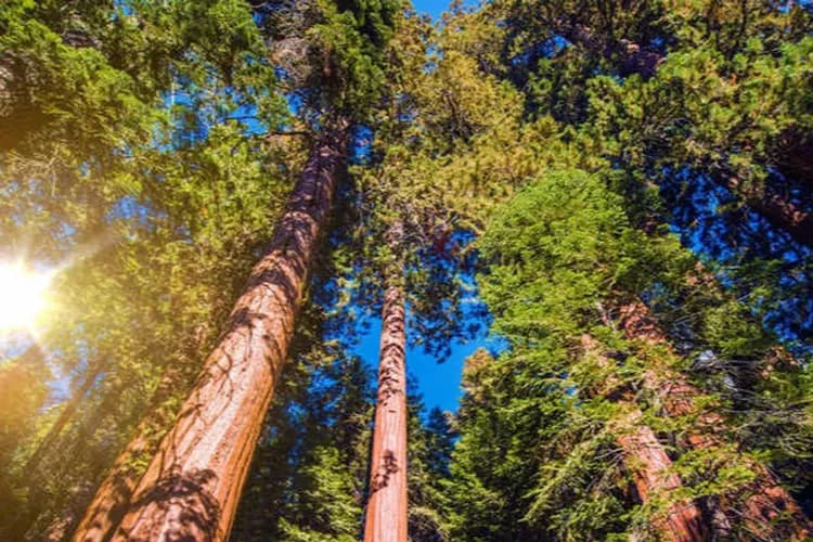 探索紐西蘭北島～哈比屯天空塔、羅吐魯阿纜車、陶波湖毛利村、懷托摩螢火蟲洞10日-7