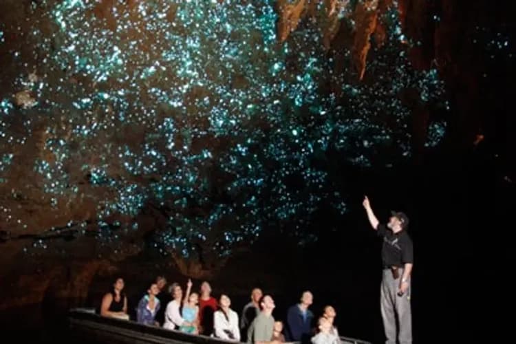 新享紐西蘭～庫克山國家公園、天際纜車蒸汽船、但尼丁風情、米佛峽灣遊覽船10日