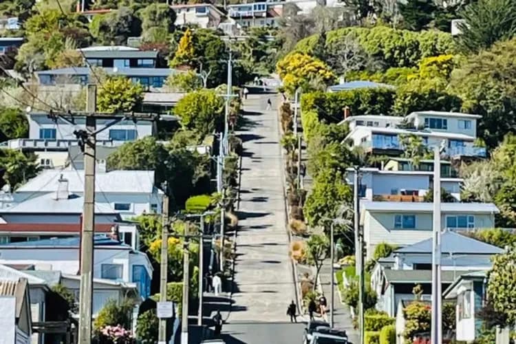 新享紐西蘭～庫克山國家公園、天際纜車蒸汽船、但尼丁風情、米佛峽灣遊覽船10日-11