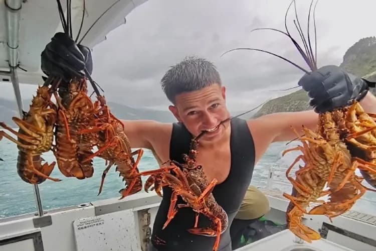 豪享紐西蘭～庫克山國家公園、皇后天際纜車、懷托摩螢火蟲、毛利文化抓龍蝦10日-8