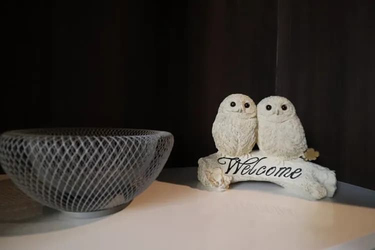 心齋橋旅居｜長堀橋站步行5分＊難波、道頓堀步行即達＊提供Wi-Fi＊設備齊全＊設計感客房-11