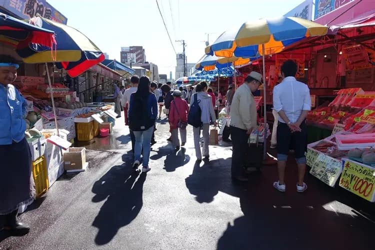 每月一物北海道旅遊｜全程無自理餐.企鵝遊行.小樽運河.函館山.螃蟹吃到飽五日｜二晚溫泉-8
